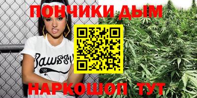 мдпв Новозыбков