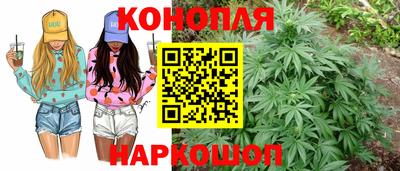 гидропоника Новодвинск
