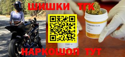 мдпв Новозыбков